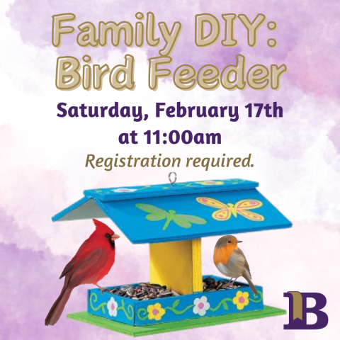 Family DIY: Bird Feeder February 17th at 11:00am Registration required