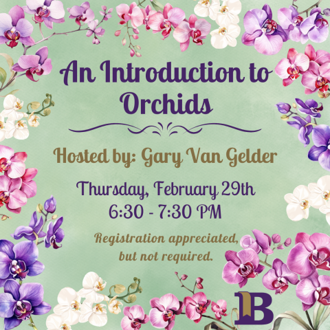 An Introduction to Orchids February 29th 6:30-7:30 PM