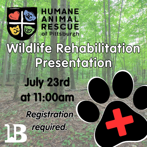 Wildlife Rehabilitation Presentation July 23rd at 11:00am