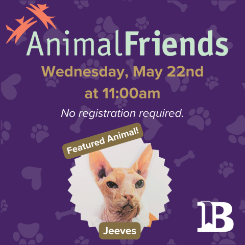 Animal Friends May 22nd at 11:00am with Jeeves the cat!