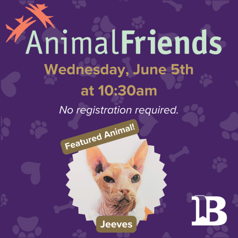 Animal Friends June 5th 10:30am with Jeeves the Cat