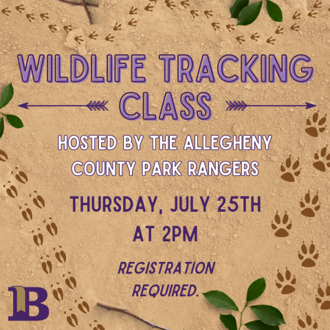 Wildlife Tracking Class Hosted by the Allegheny County Park Rangers July 25th at 2:00pm Registration Required