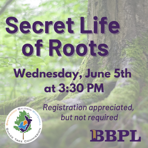 Secret Life of Roots Hosted by: Shade Tree Commission June 5th at 3:30pm 