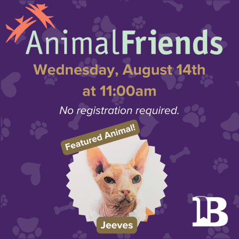 Animal Friends August 14th at 11:00am with Jeeves the cat!