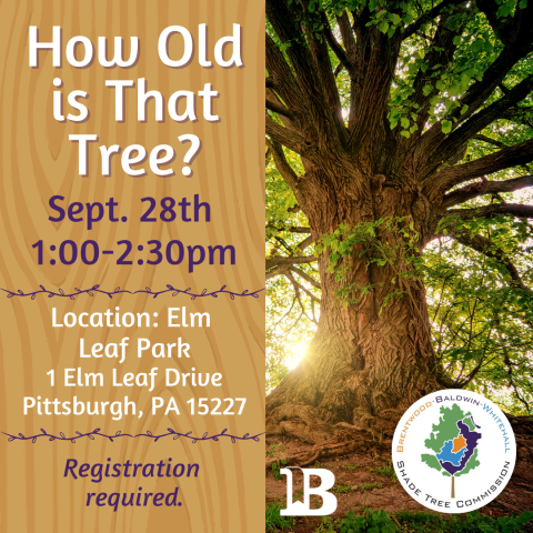 How Old is That Tree? September 28th at 1:00pm at Elm Leaf Park: 1 Elm Leaf Dr. Pgh., PA 15227