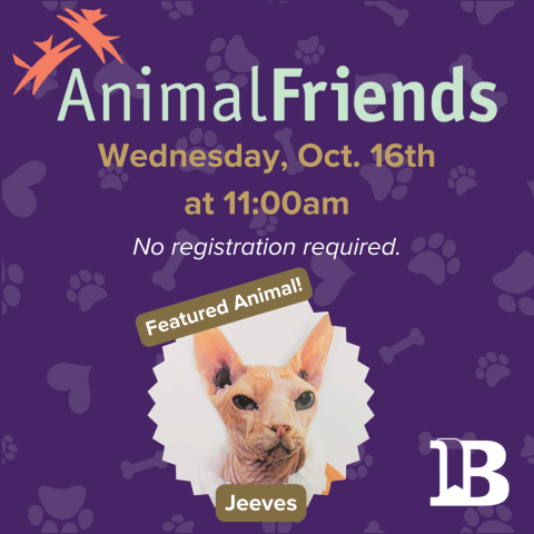 Animal Friends October 16th at 11:00am with Jeeves the Cat