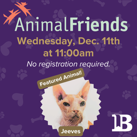 Animal Friends December 11th at 11:00am with Jeeves the cat!