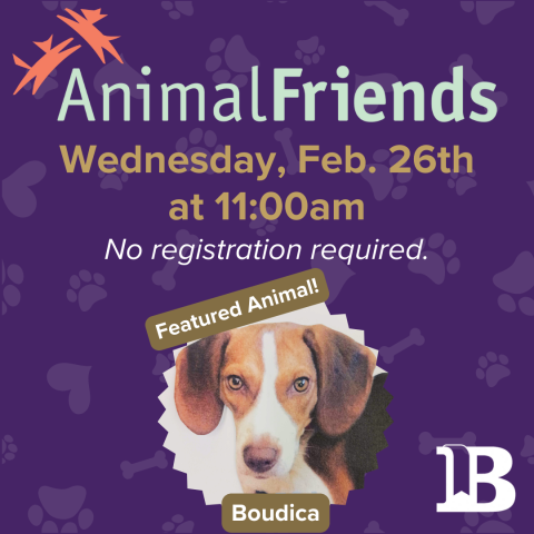 Animal Friends February 26th at 11:00am with Boudica the Dog!