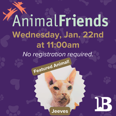 Animal Friends with Jeeves the Cat! January 22nd at 11:00am
