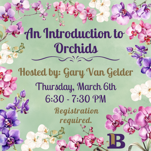 An Introduction to Orchids March 6th at 6:30pm Registration required