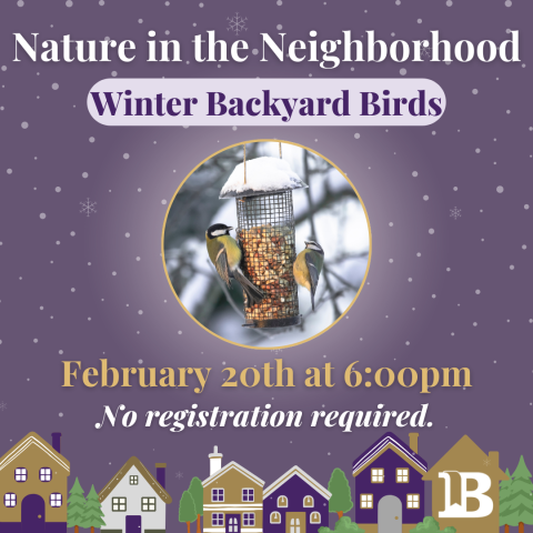 Nature in the Library February 20th at 6:00pm
