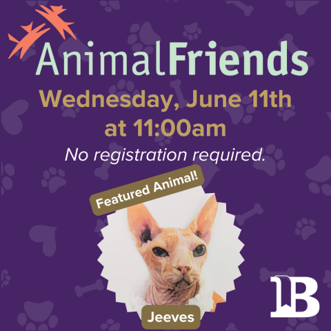 Animal Friends June 11th at 11:00am with Jeeves the cat!