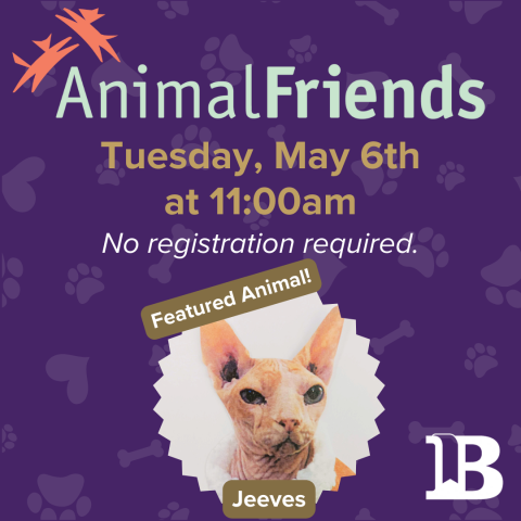 Animal Friends May 6th at 11:00am with Jeeves the cat!