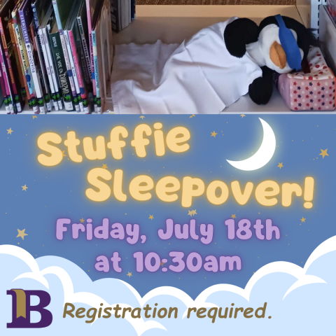 Stuffie Sleepover! July 18th at 10:30am Ages 0-11 Registration required.