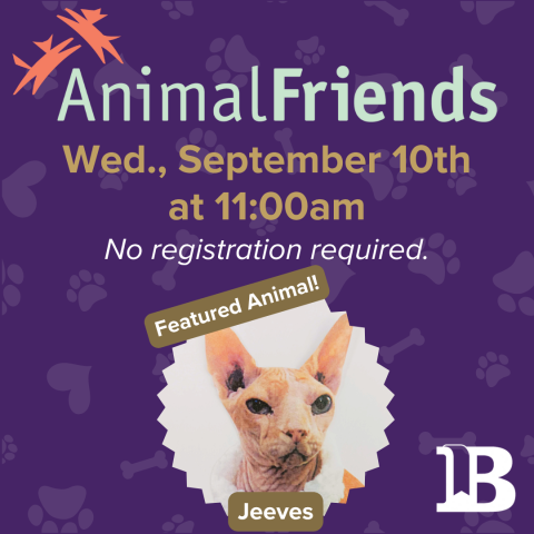 Animal Friends September 10th at 11:00am with Jeeves the Cat