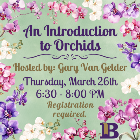 An Introduction to Orchids March 26th 6:30-8:00PM Registration required