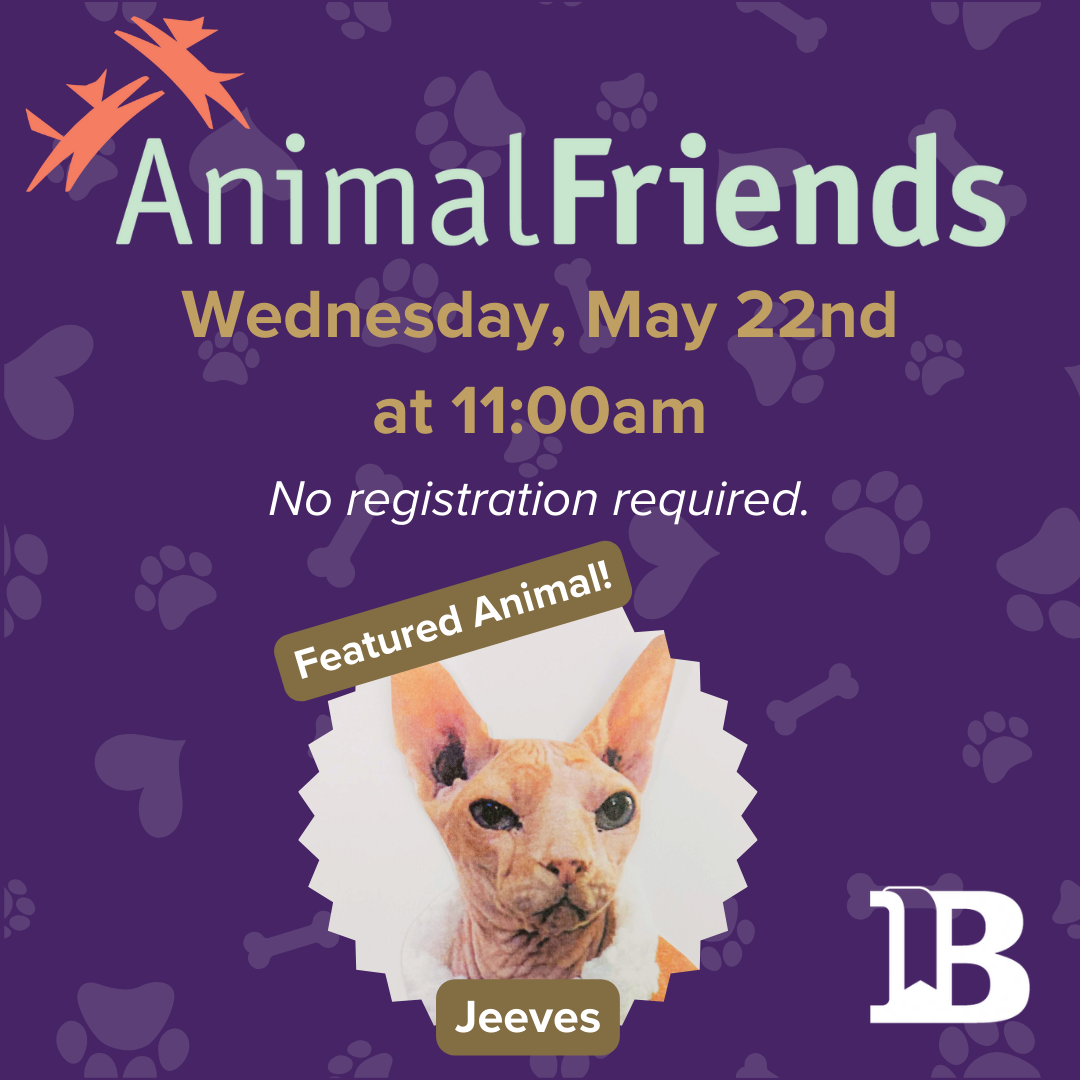 Animal Friends May 22nd at 11:00am with Jeeves the cat!
